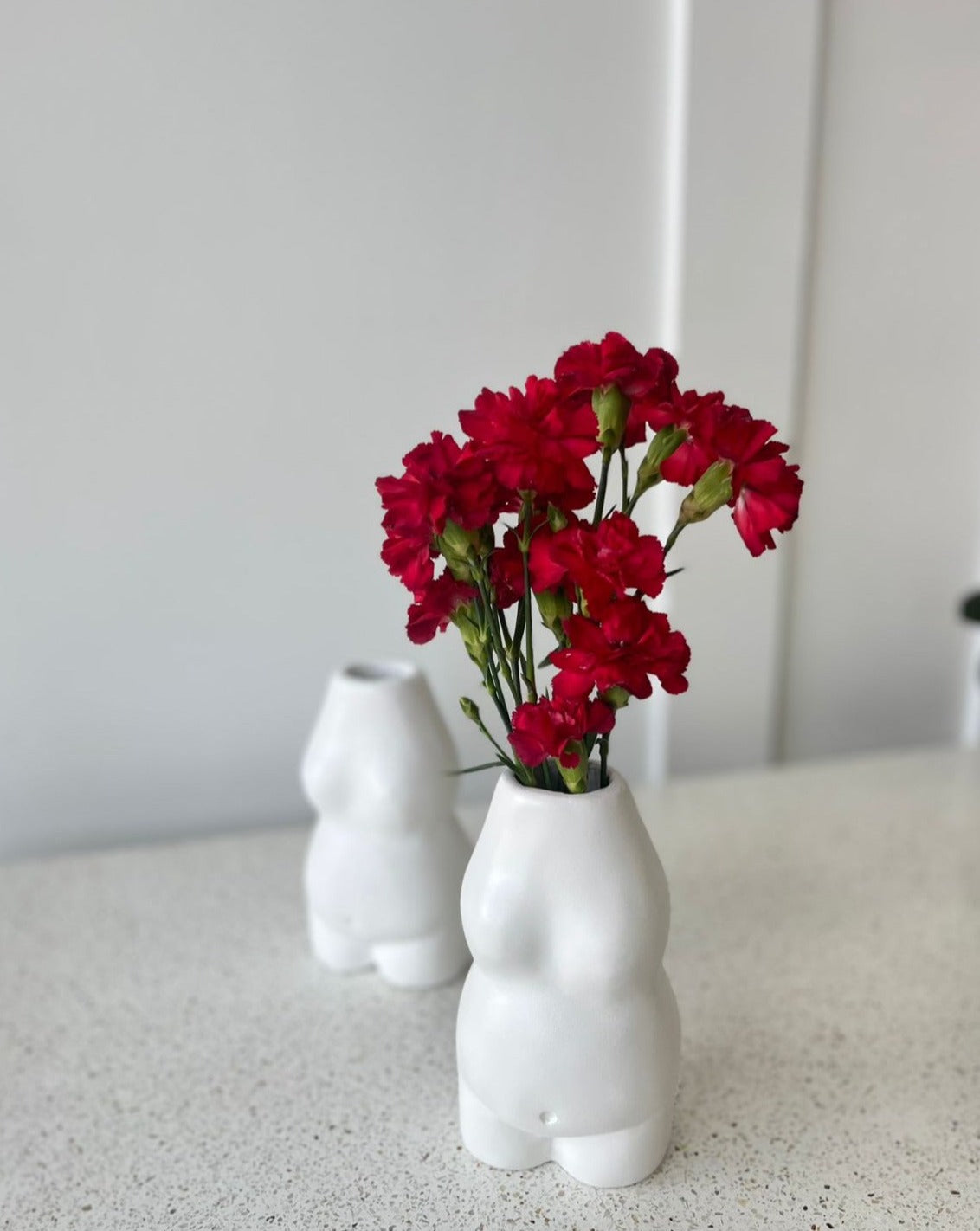 Small Body Vase